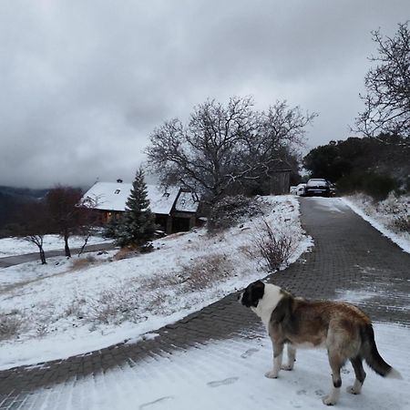 Penzion Refugio Del Aguila "Casa Diaman" Guejar Sierra Exteriér fotografie