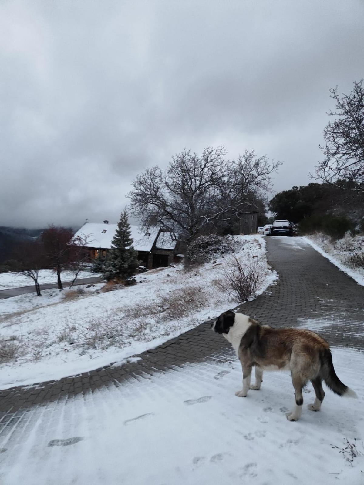 Penzion Refugio Del Aguila "Casa Diaman" Guejar Sierra Exteriér fotografie