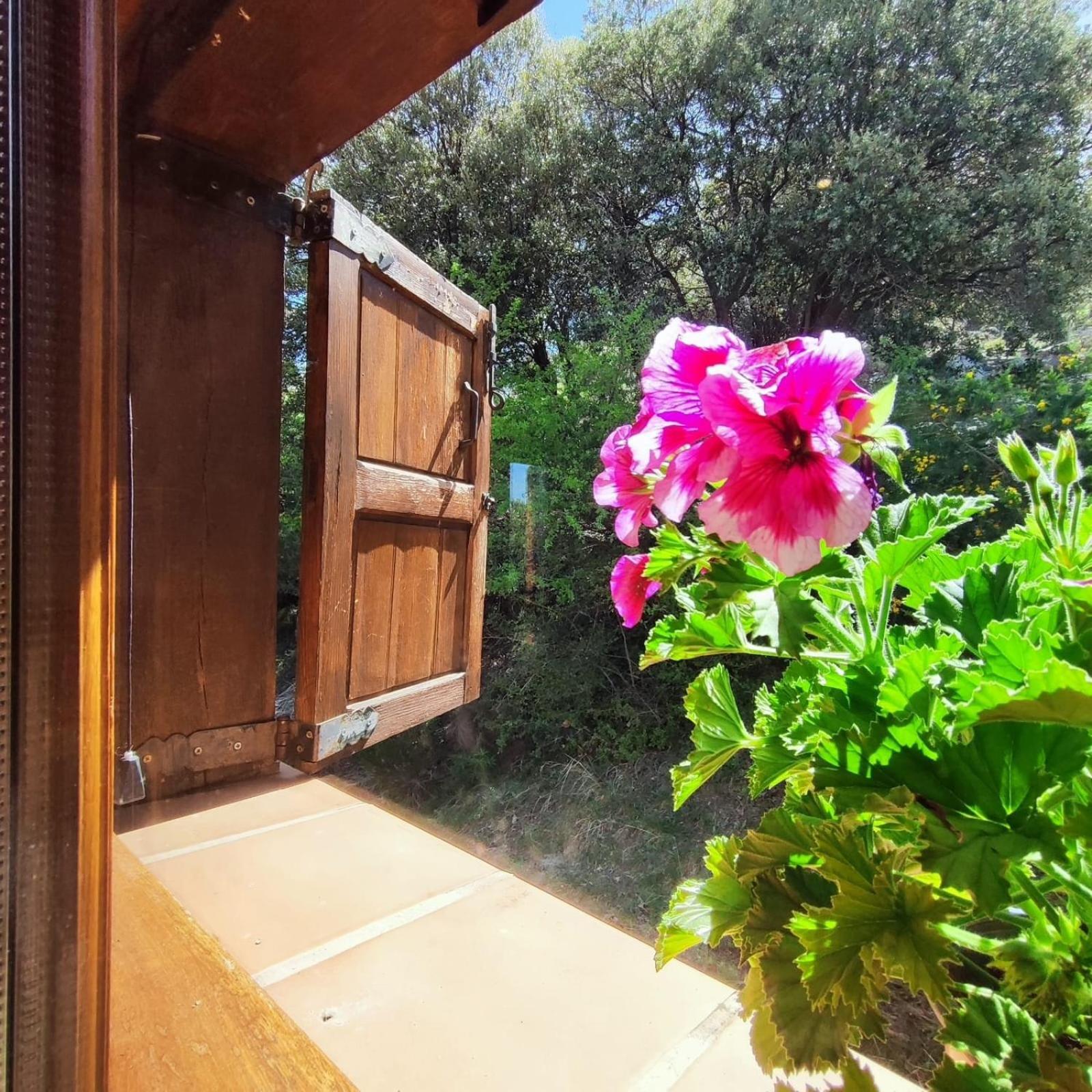 Penzion Refugio Del Aguila "Casa Diaman" Guejar Sierra Exteriér fotografie