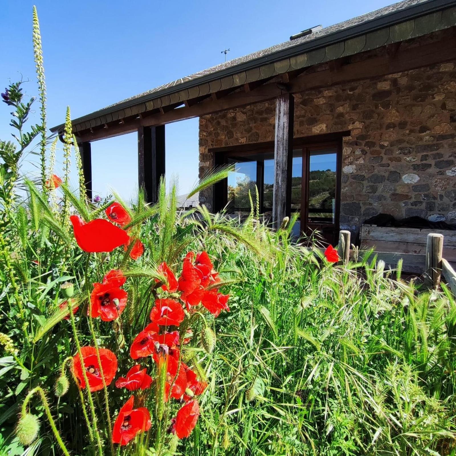 Penzion Refugio Del Aguila "Casa Diaman" Guejar Sierra Exteriér fotografie